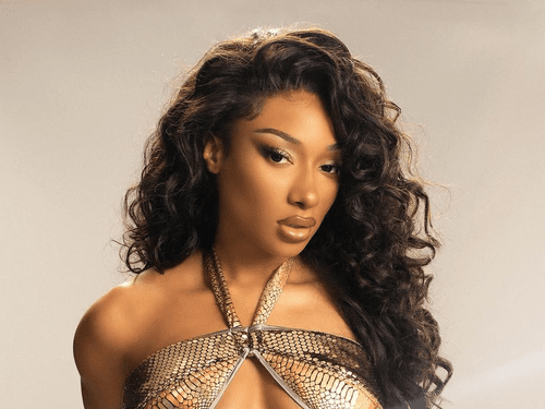 Megan Thee Stallion with curly hair. 